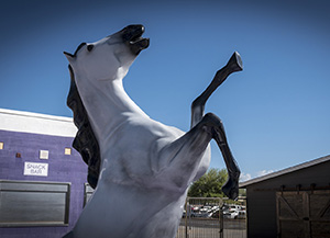 Mustang statue in front of school stadium